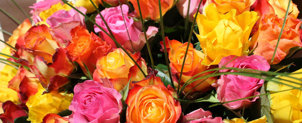 Easter Lily Florist